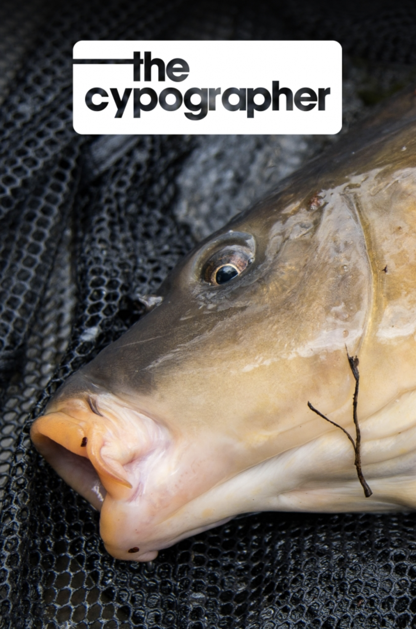 Eye Candy | Elliott Gray | S1: Ep.6