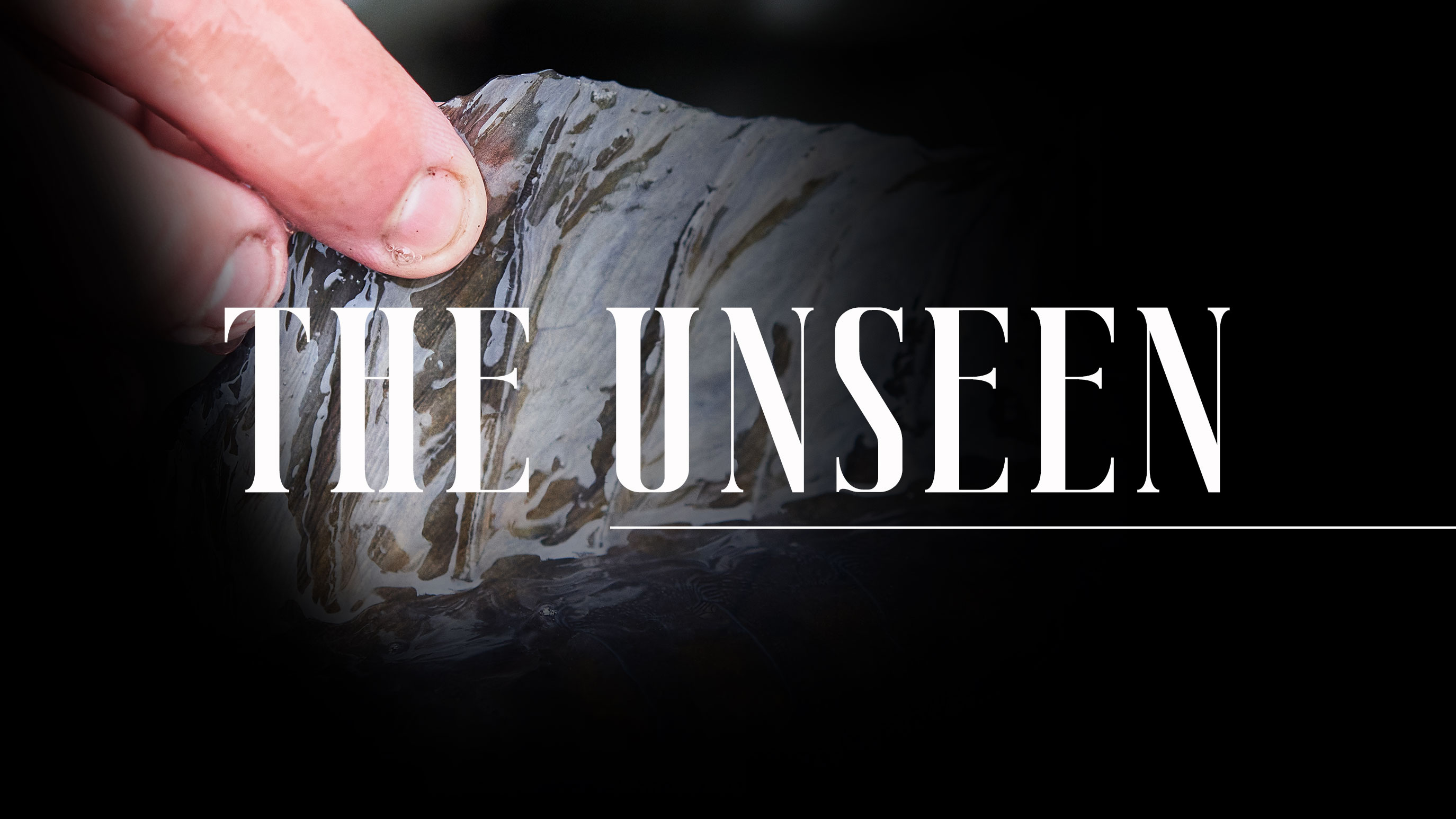 The Unseen