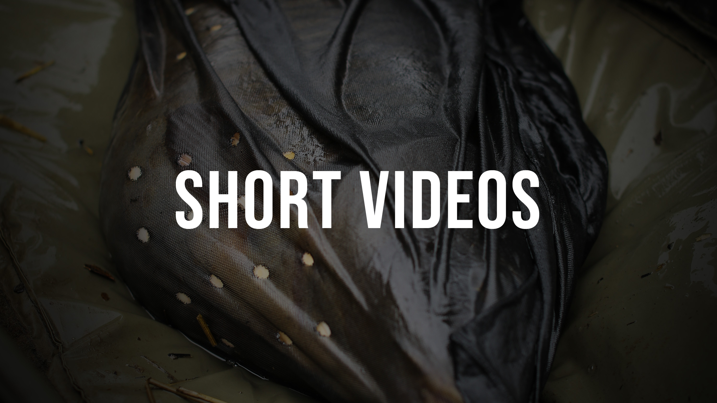 SHORT VIDEO SERIES