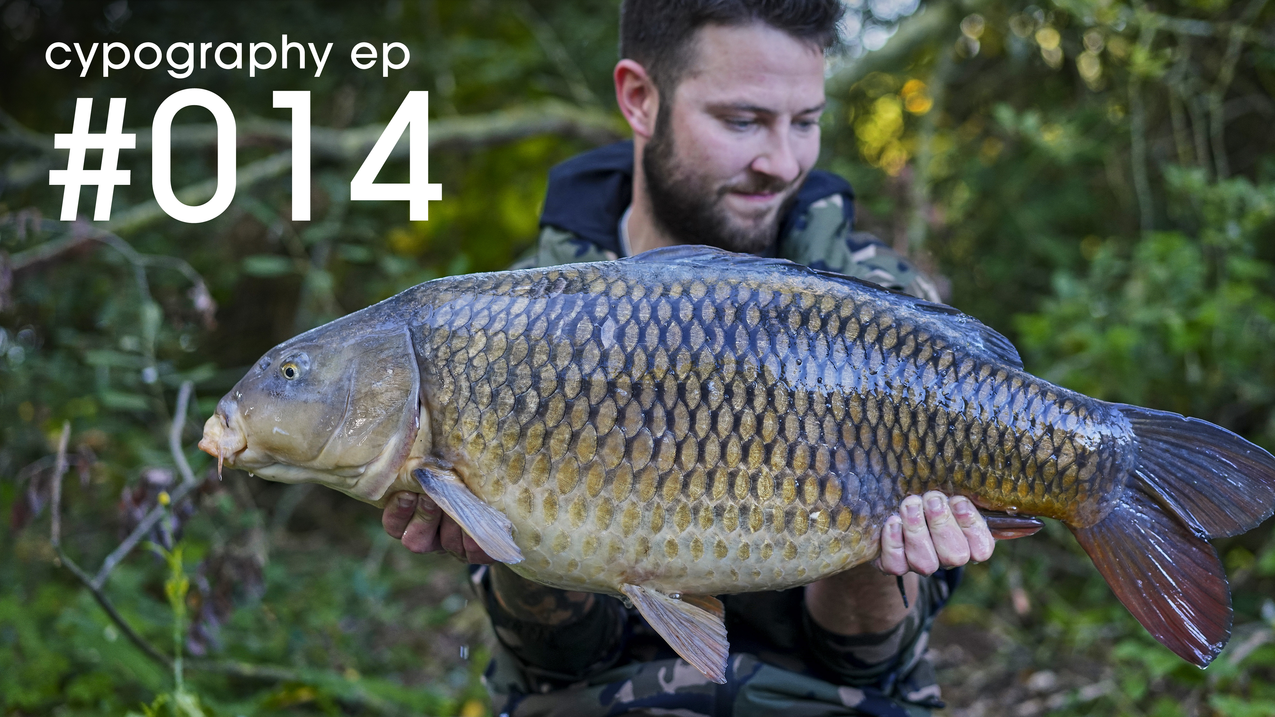 Episode #014  | November 2018