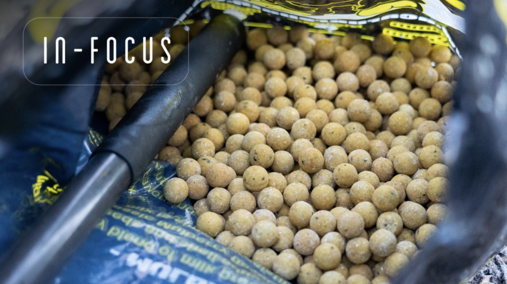 Matured Bait | Jim Shelley | In-Focus