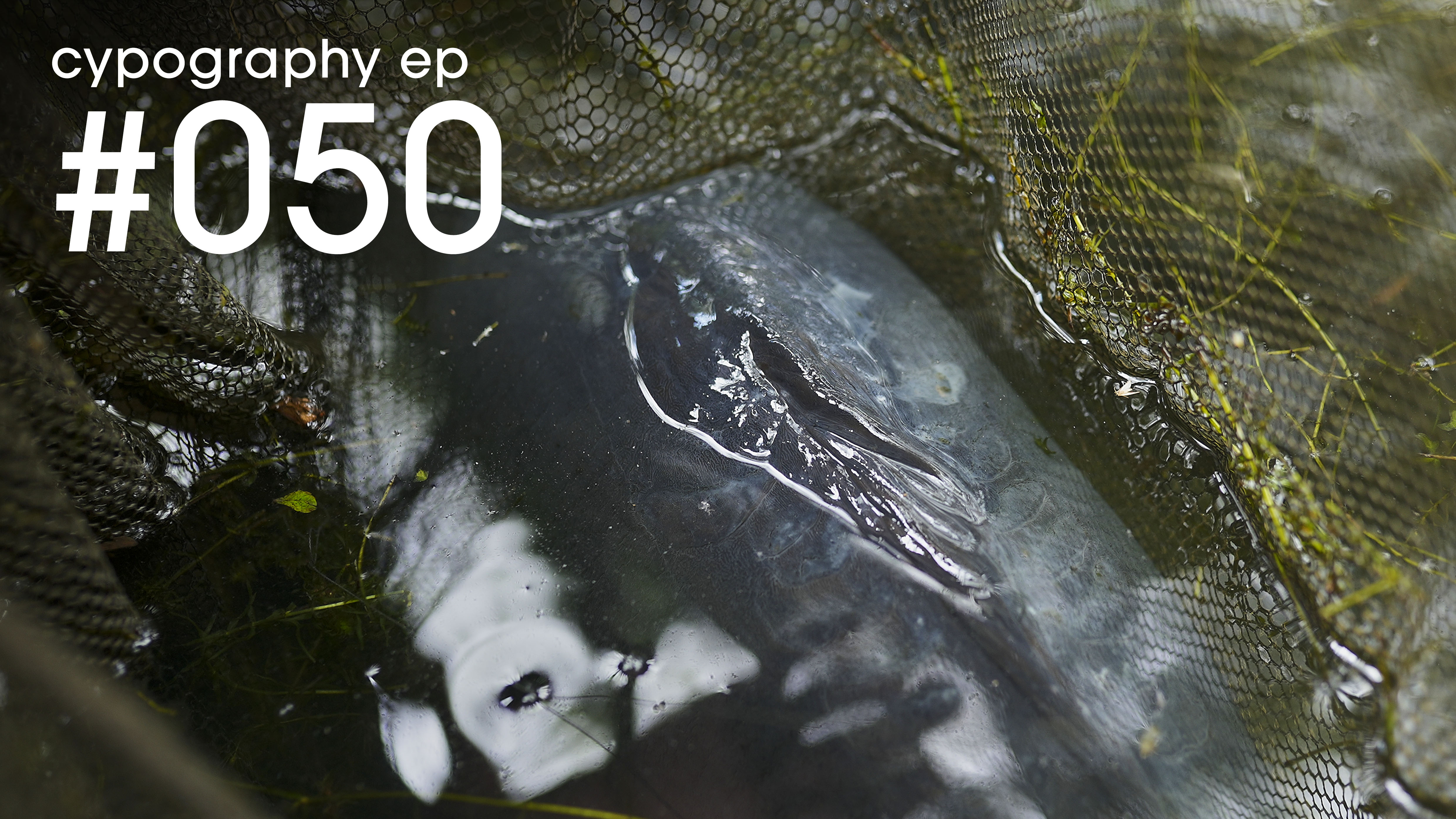 Episode #050 | November 2021