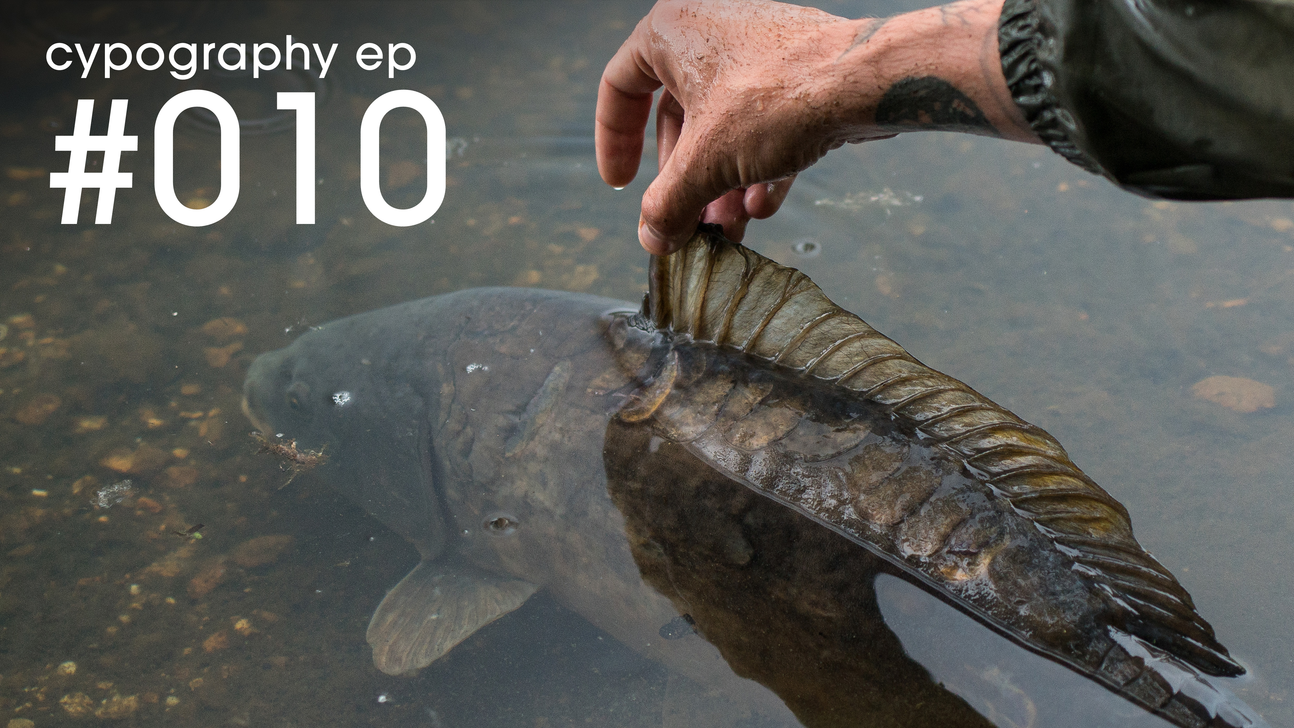 Episode #010  | July 2018