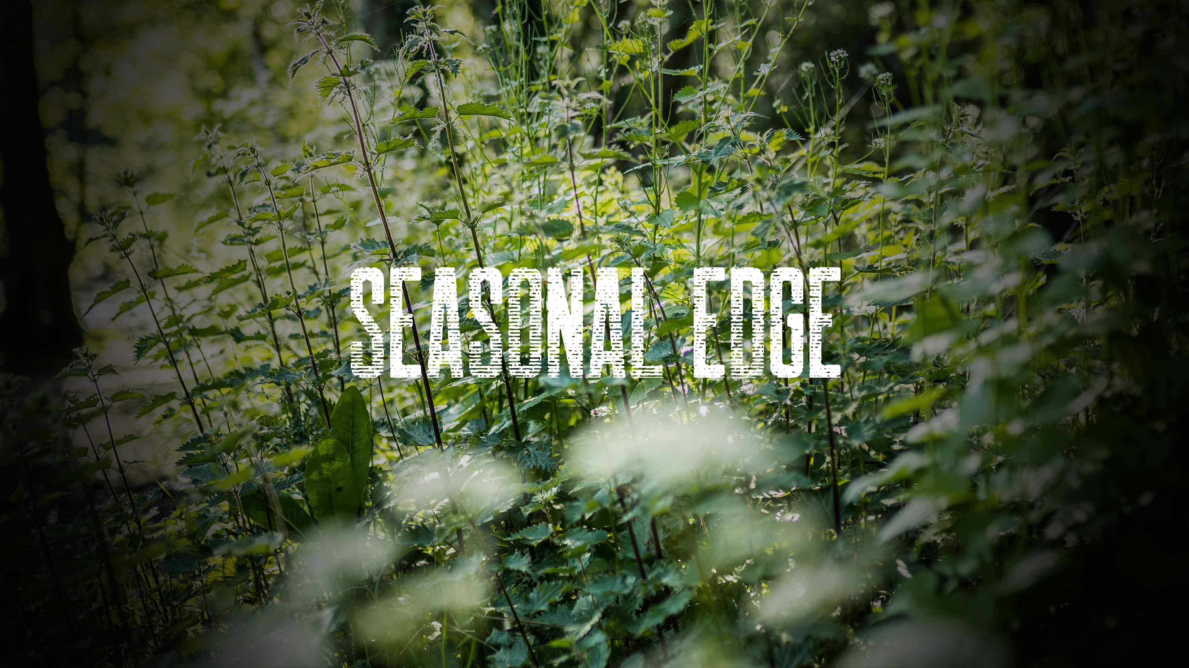 Seasonal Edge