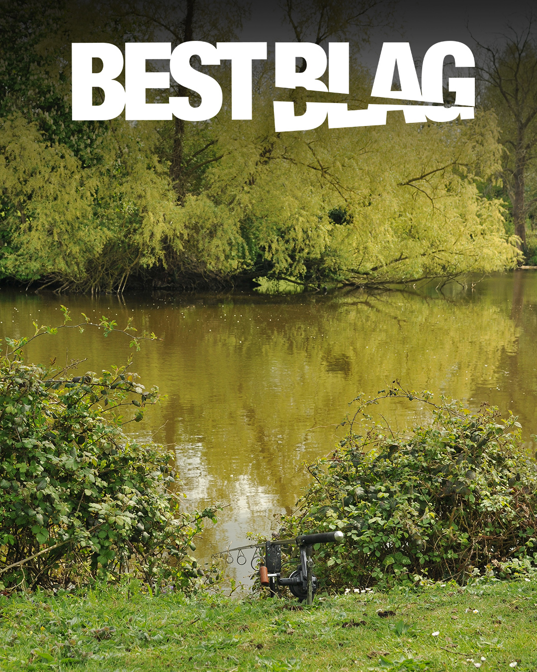 Elliott Gray | Best Blag