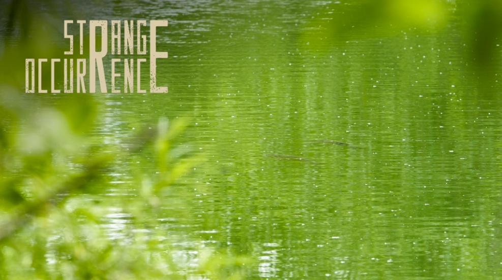 Scott Lloyd | Strange Occurrence