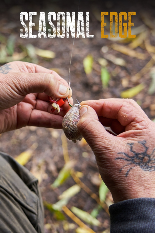 Autumn | Ian Russell | Seasonal Edge