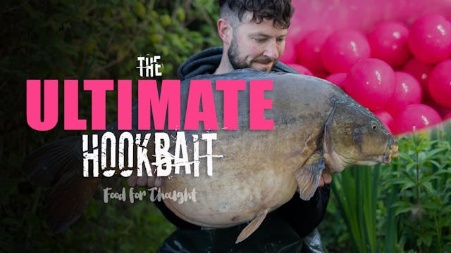 The Ultimate Hookbait | Elliott Gray ...