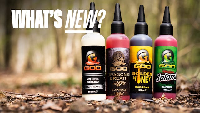 Korda Goo | What's New?