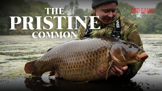 The Pristine Common | Jake Gallagher ...