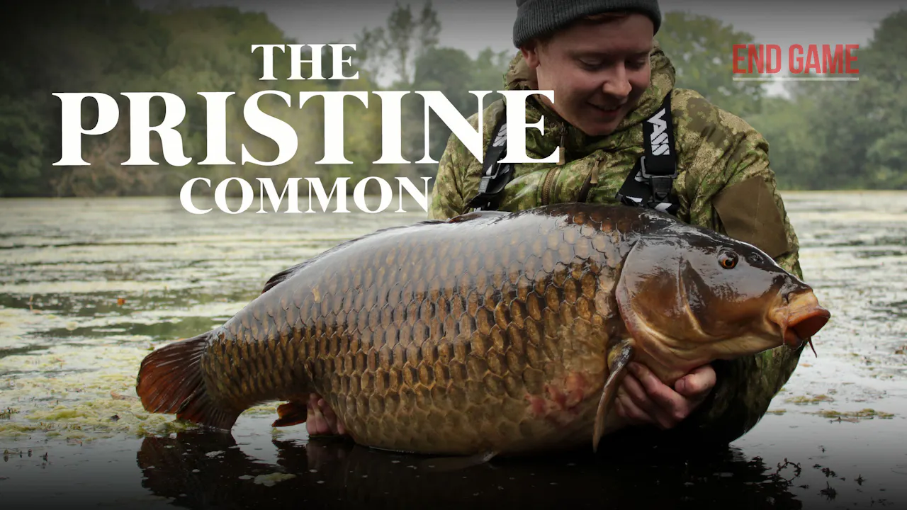 The Pristine Common | Jake Gallagher | S2: Ep.6 - Season 2 - CYPOGRAPHY