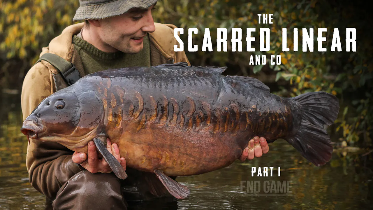 The Scarred Linear & Co I | Tom Stokes | S4: Ep.3 - Season 4 - CYPOGRAPHY