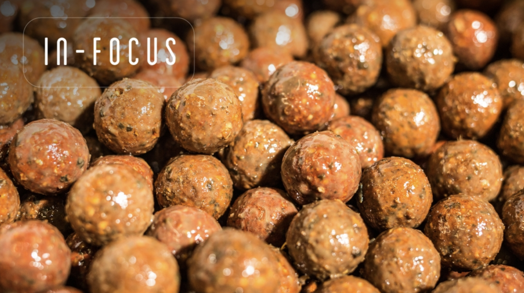 Pimp Your Boilies | Elliott Gray | In-Focus 