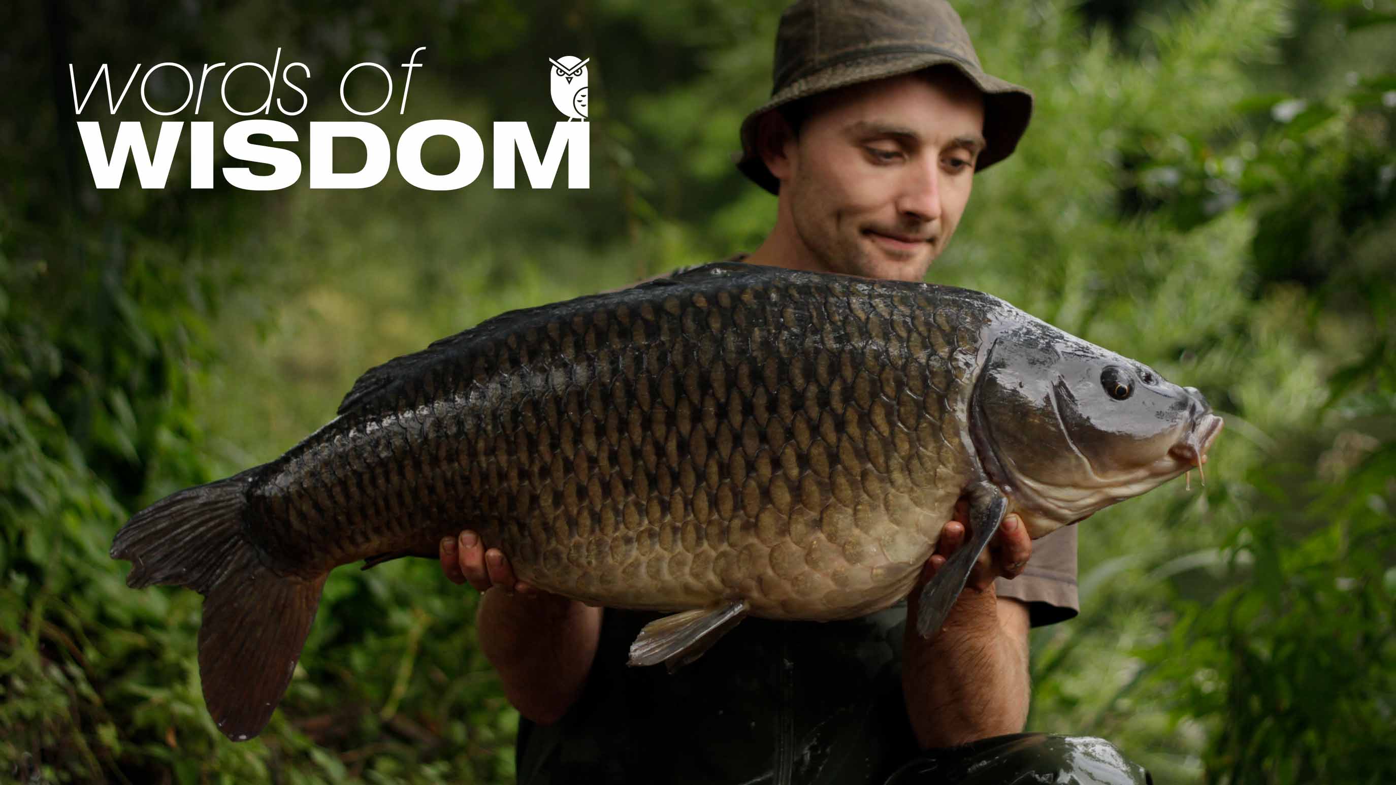 Tom Stokes | Words Of Wisdom 