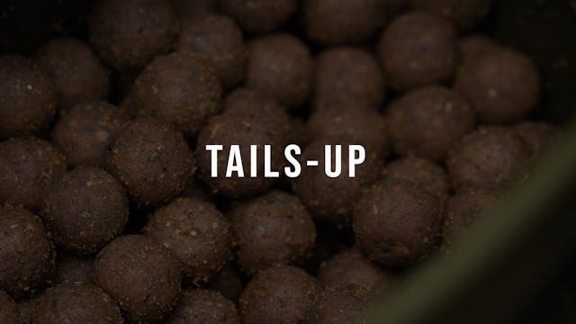 11% Tails Up Baits | Discount Code