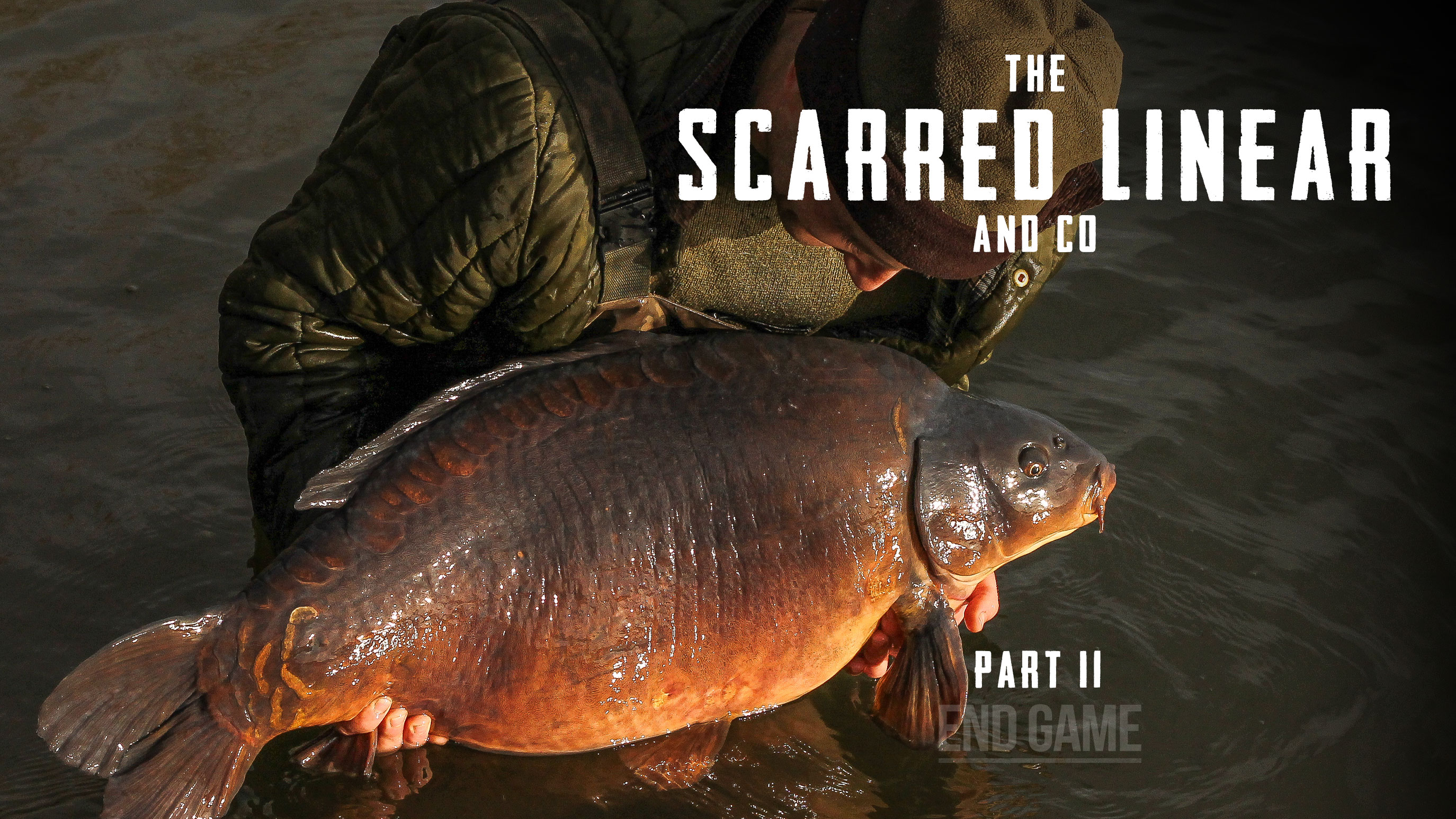 The Scarred Linear & Co II | Tom Stokes | S4: Ep.4