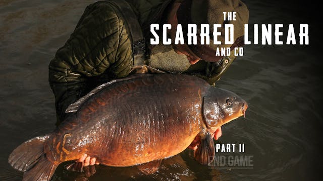 The Scarred Linear & Co II | Tom Stok...