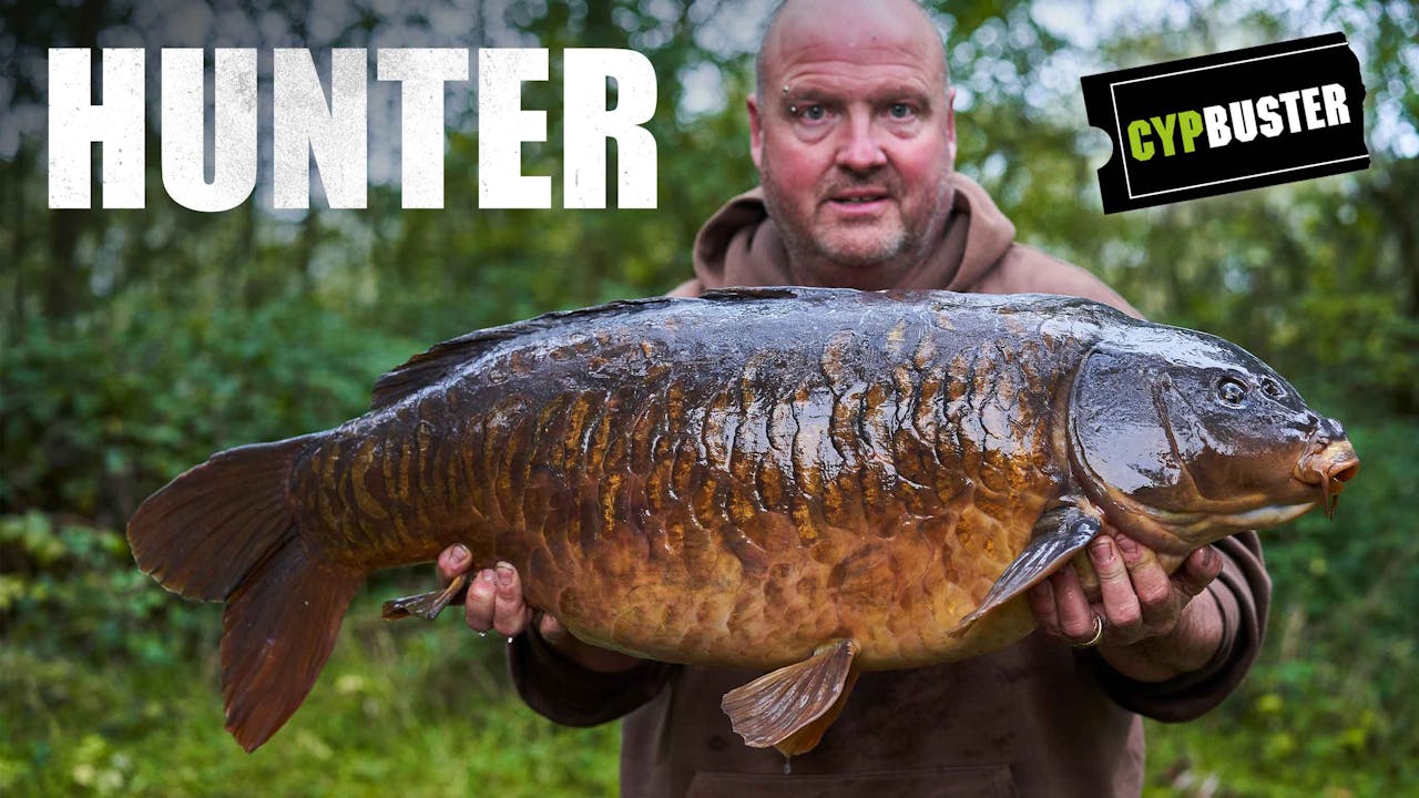 Woolpack Wonders | Jim Shelley