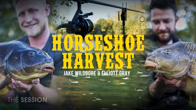 Horseshoe Harvest | Jake Wildbore | S...