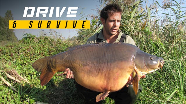 A Decade Of Drive & Survive | John Ti...