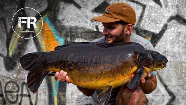 London's Finest River Carp | Jack Tho...