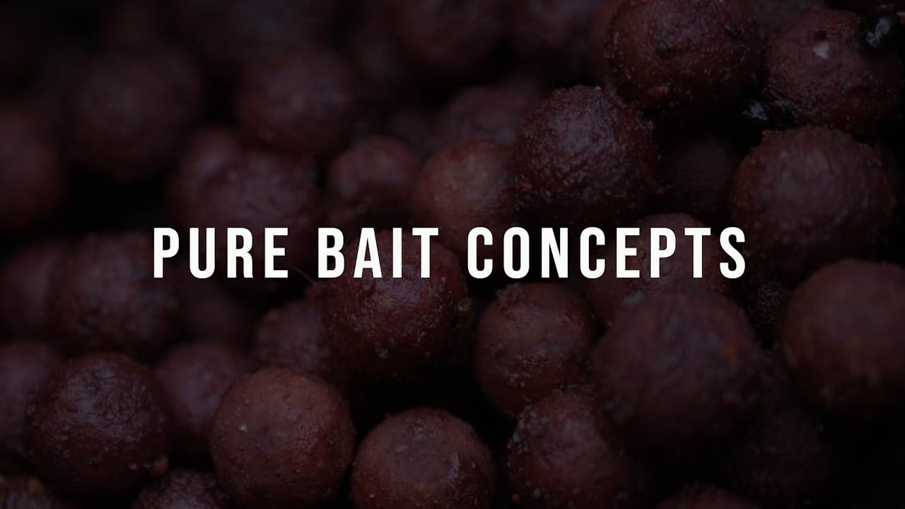 10 Purebait Concepts Discount Code Discount Codes CYPOGRAPHY