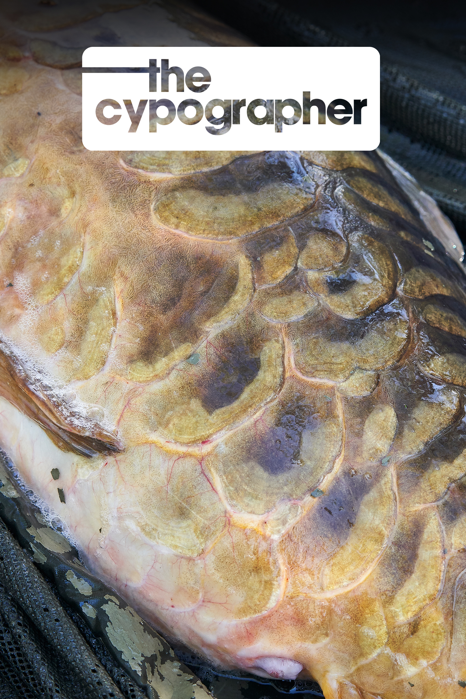 Essex Maffia | Elliott Gray | S2: Ep.3