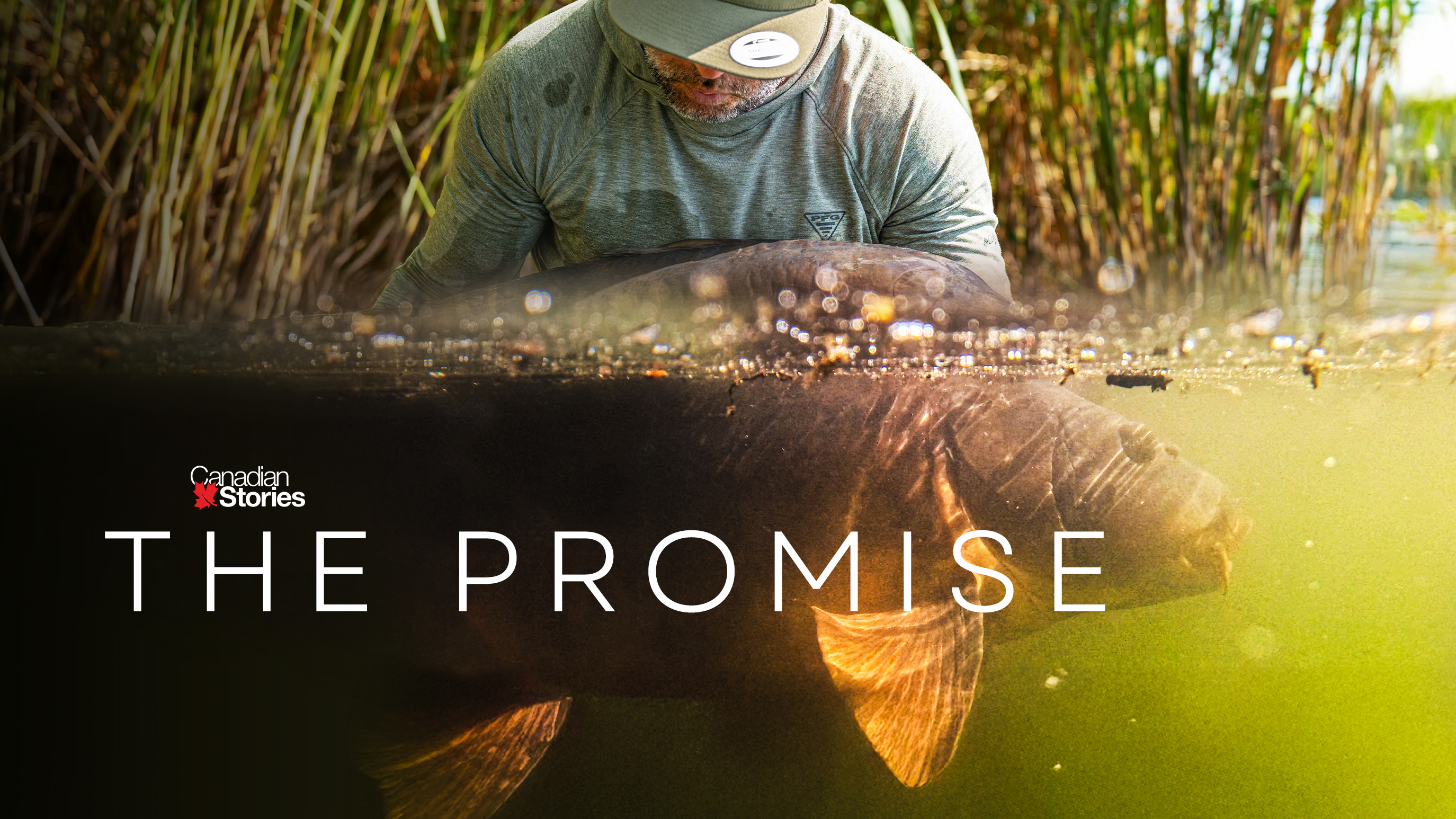 The Promise | Paul Cioca | S1: Ep.5