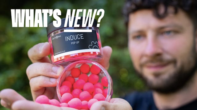 Baitworks Induce Pop-Ups | What's New?