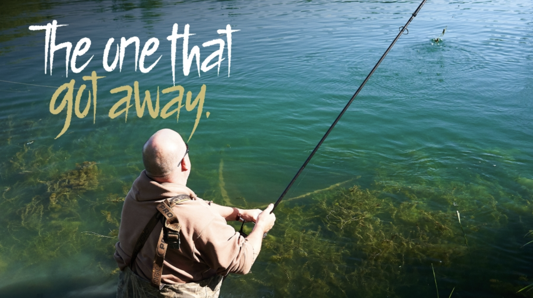 Jim  Shelley | The One That Got Away 