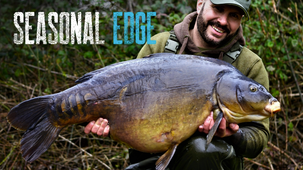 Winter | Dave Levy | Seasonal Edge