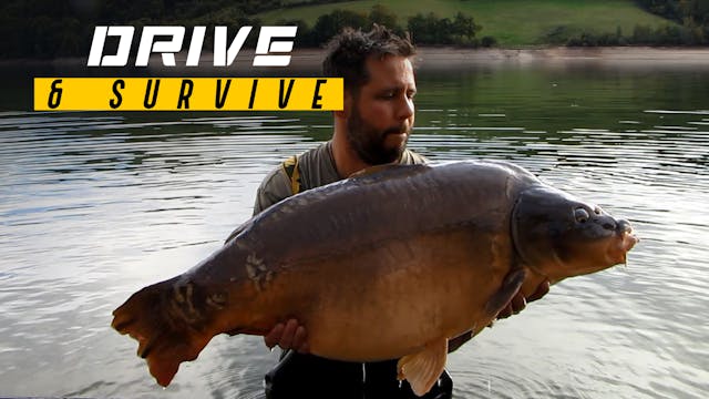 Huge Barrage Carp | John Timmermans |...