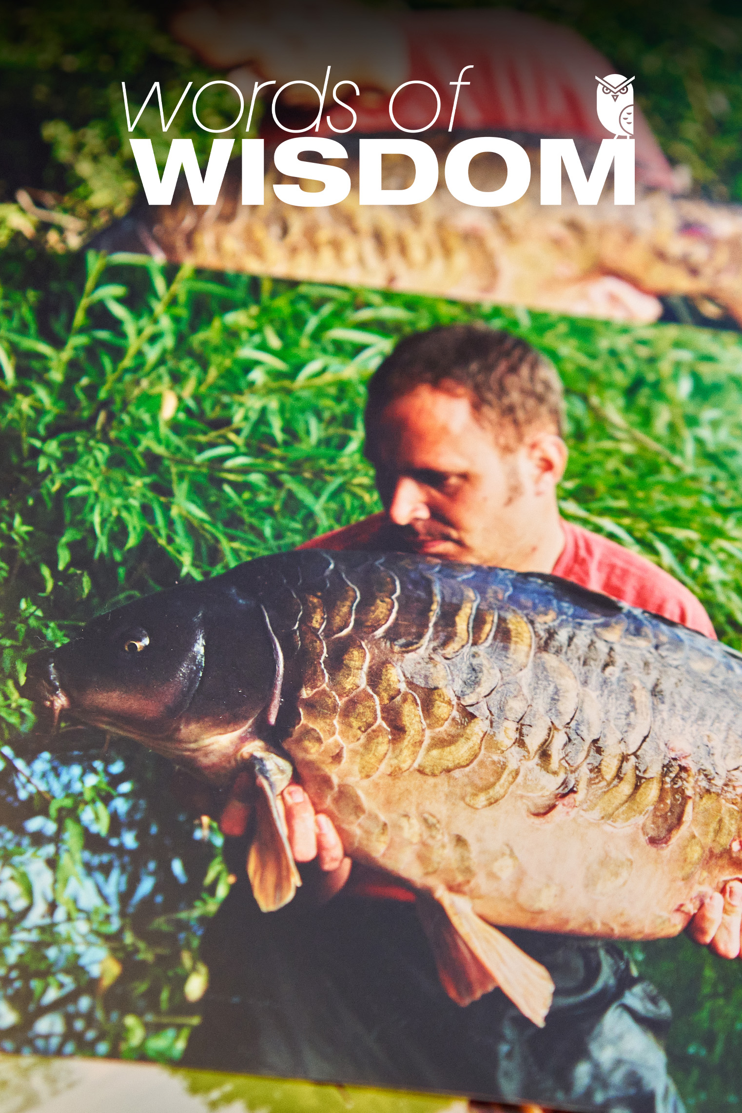 Dave Levy | Words of Wisdom