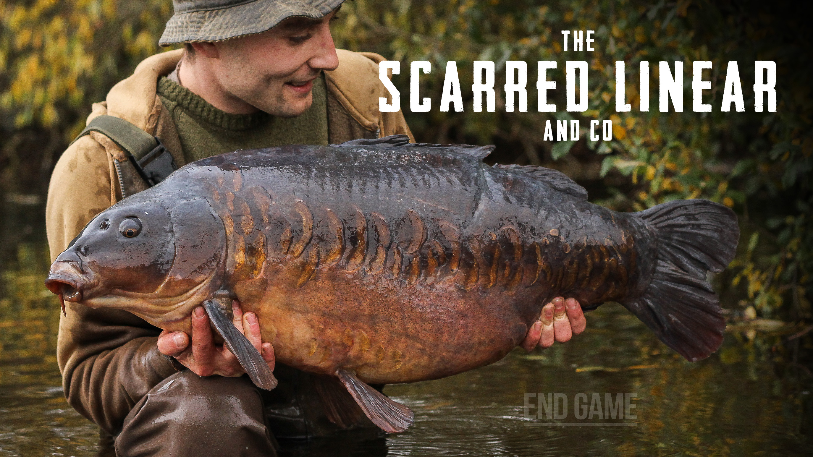 The Scarred Linear & Co | Tom Stokes | End Game