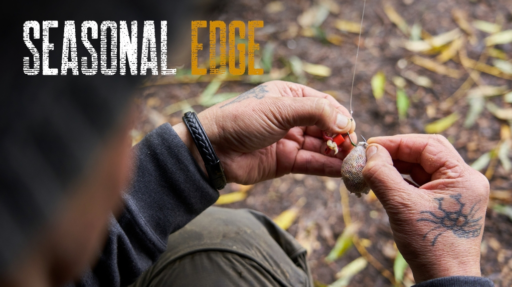 Autumn | Ian Russell | Seasonal Edge