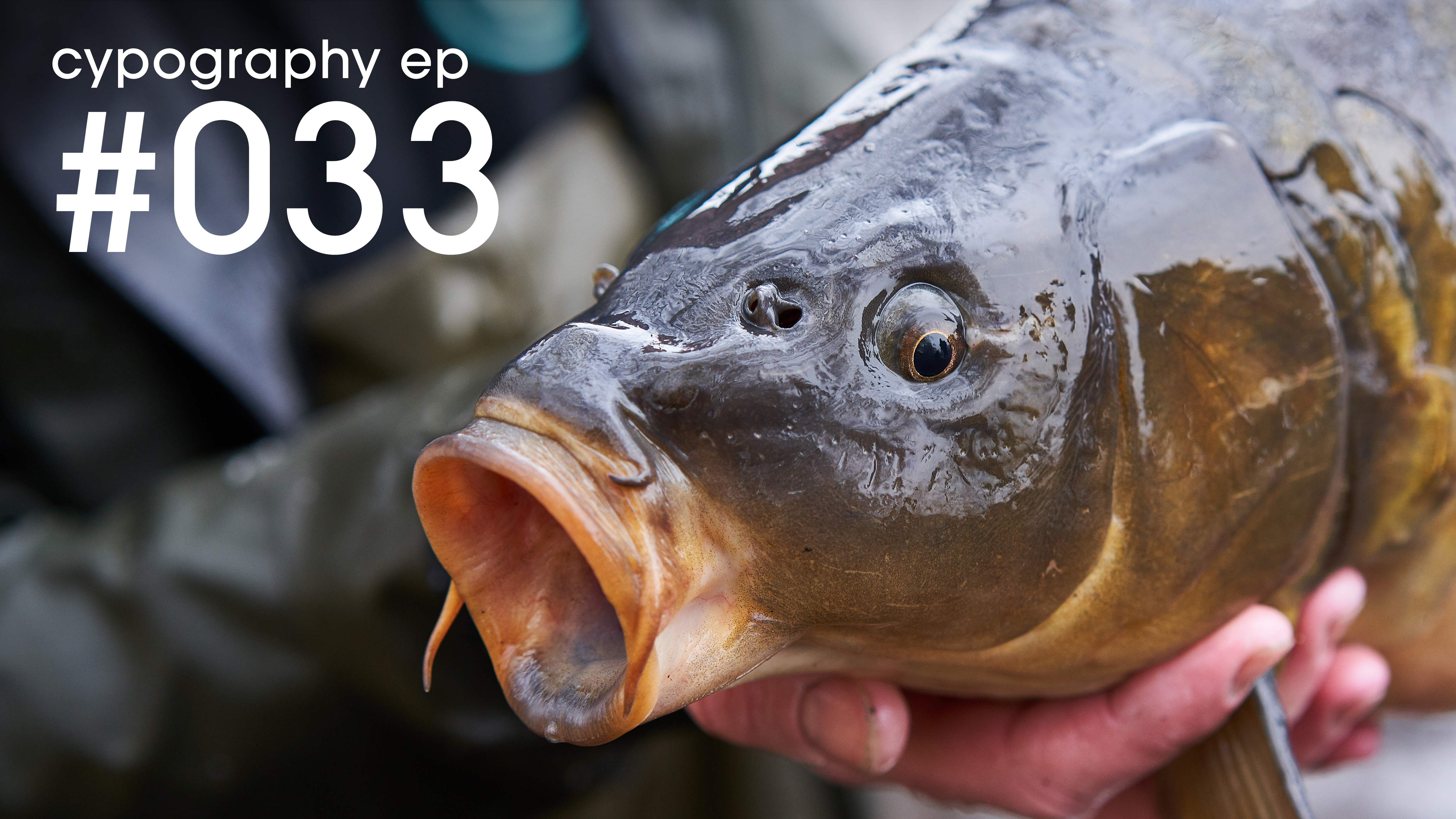 Episode #033 | June 2020 