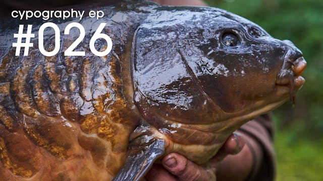 #026 Episode | November 2019