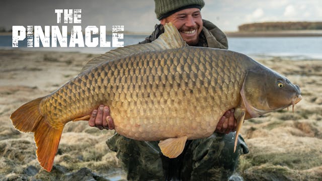 Chantecoq Gold | Samir & Hofman | S2: Ep.2