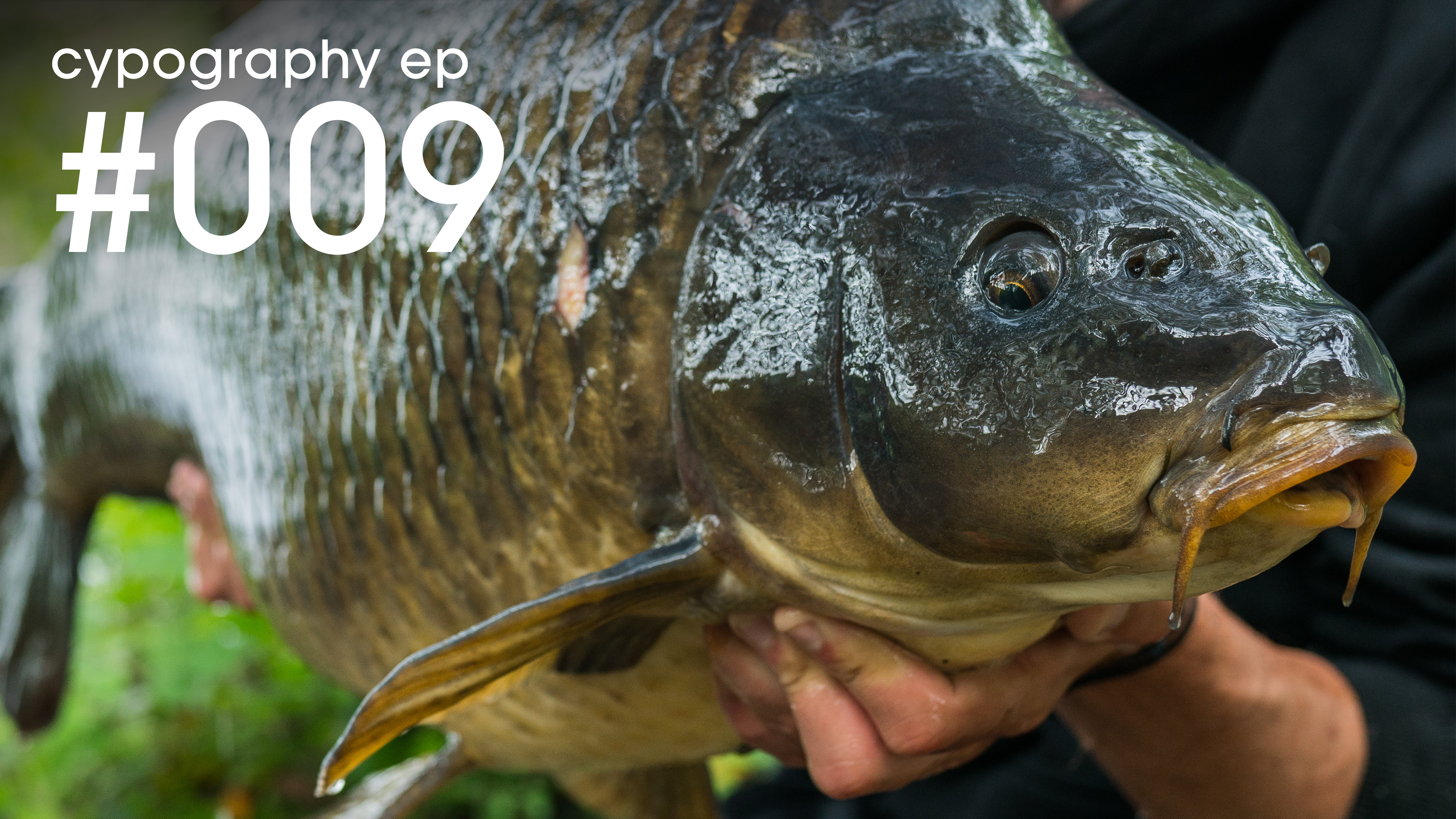 Episode #009  | June 2018