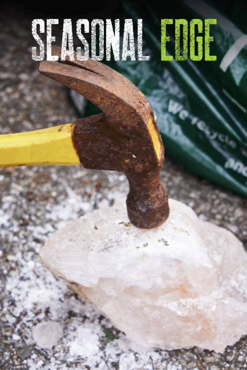 Spring | Jim Shelley | Seasonal Edge