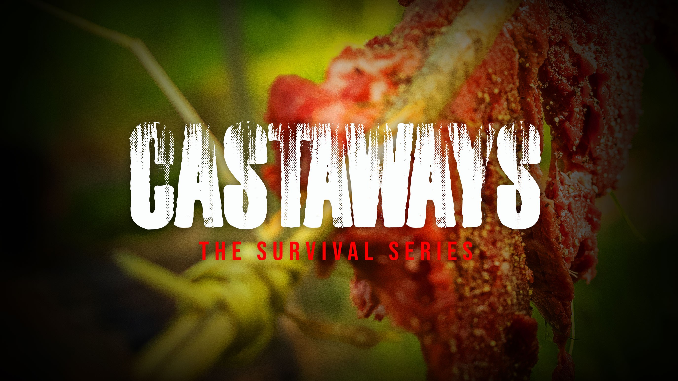Castaways | The Survival Series