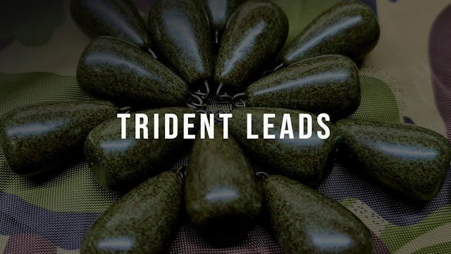 10% Trident Leads | Discount Code