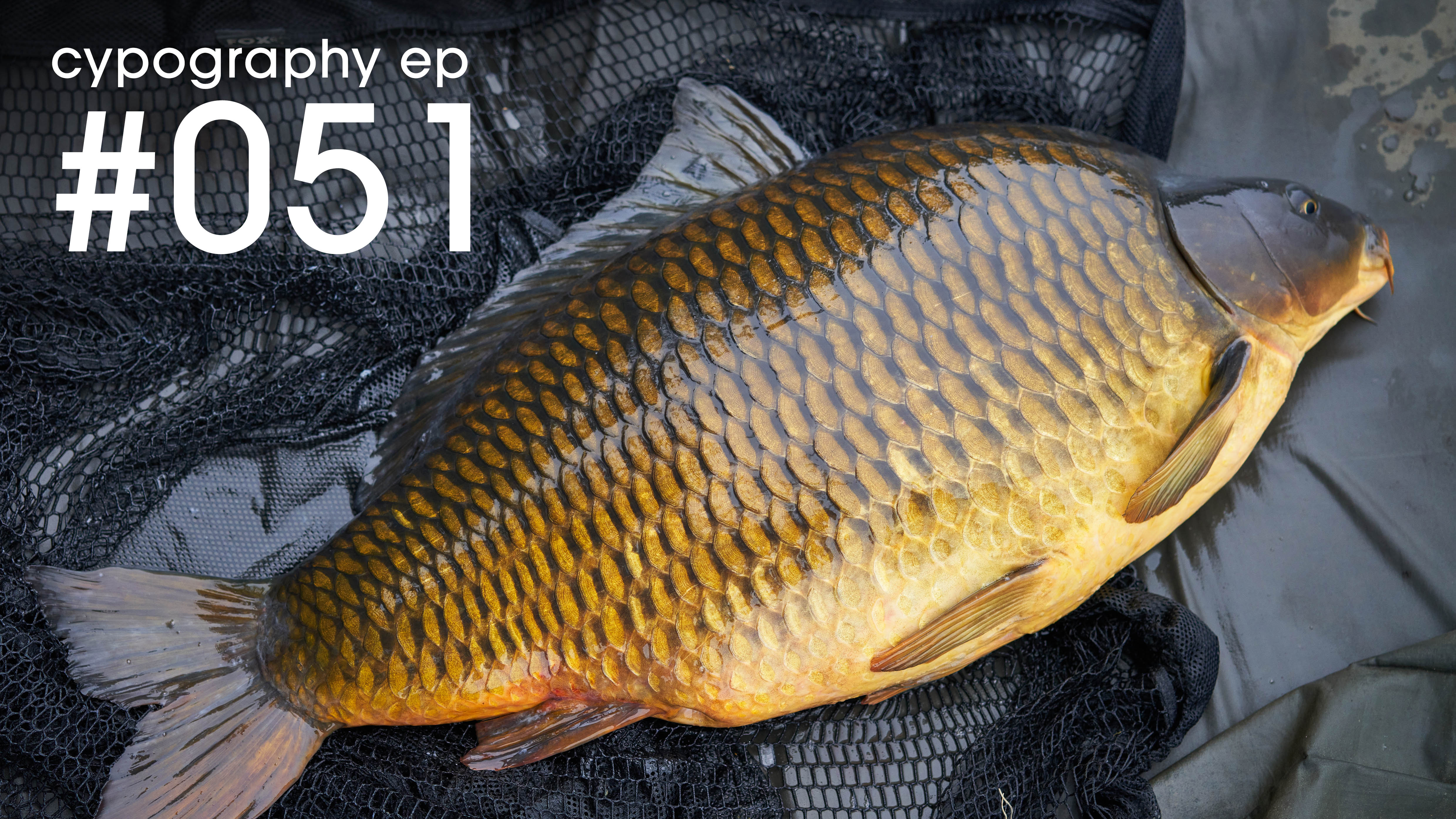 Episode #051 | December 2021