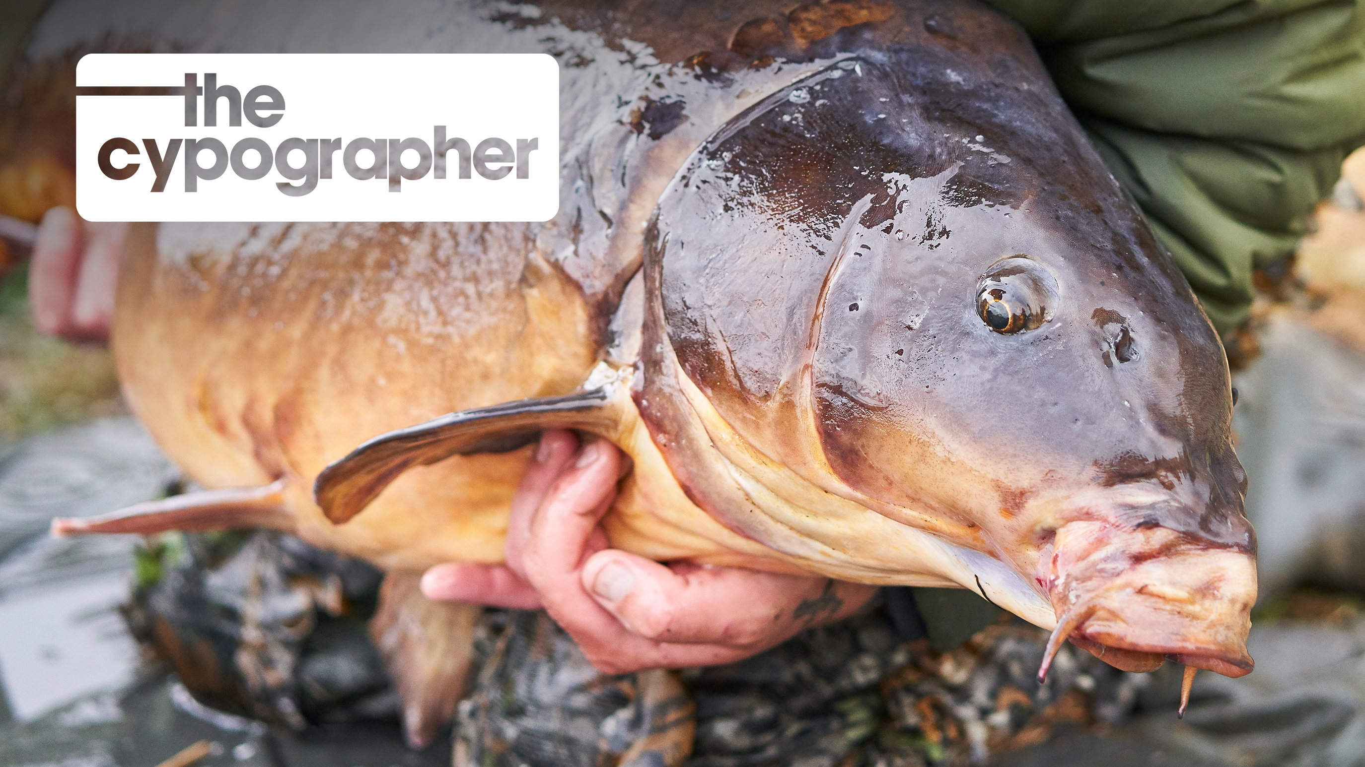 Crème De La Crème | Elliott Gray | S2: Ep.4