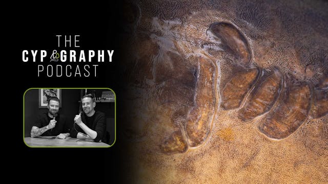 Pod Sixteen | Elliott & Thom | S3: Ep.2