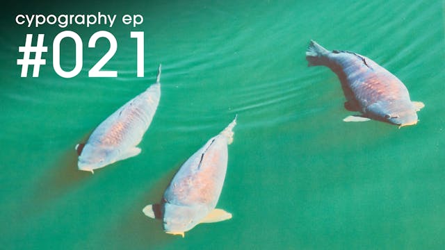 Episode #021 | June 2019
