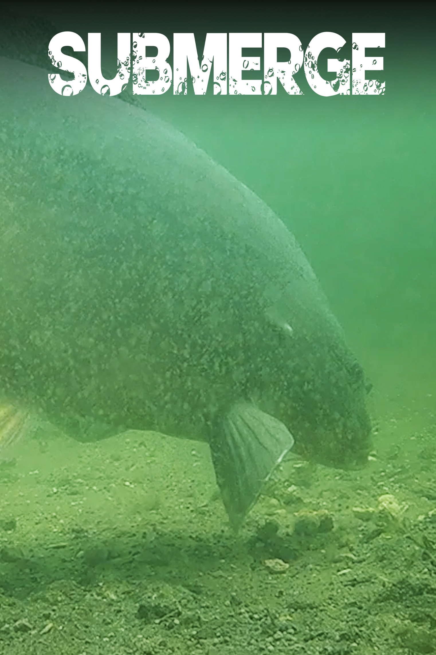 A New Chapter | Elliott Gray | C1: Ep.1