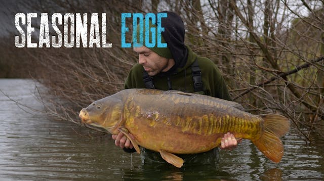 Winter | Gaz Fareham | Seasonal Edge 