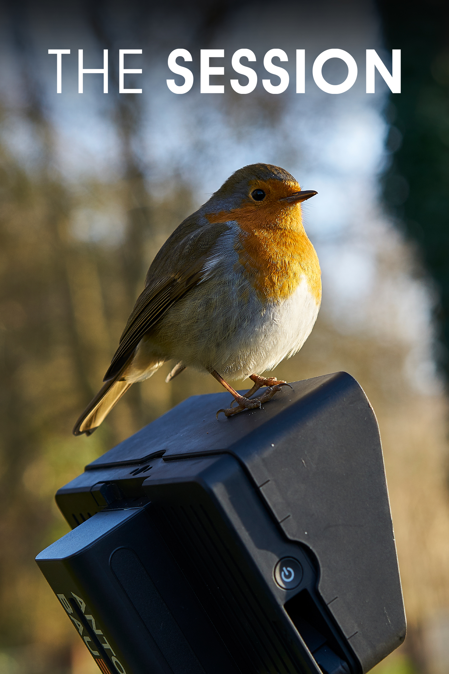 Yateley Pads Lake | Joe Morgan & Elliott Gray | S1: Ep.9