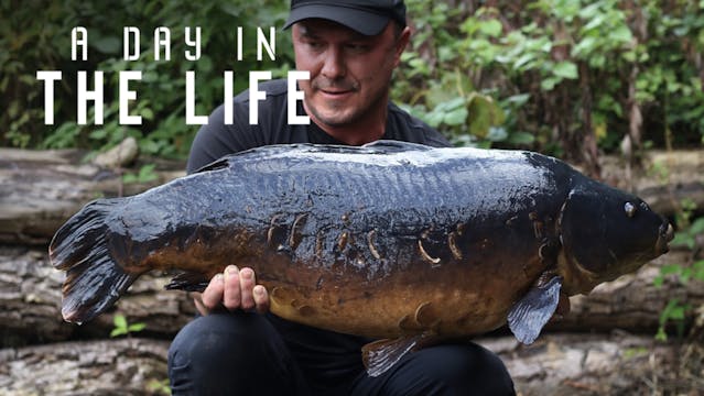 Big Carp, Little Time | Wes Coggeshal...